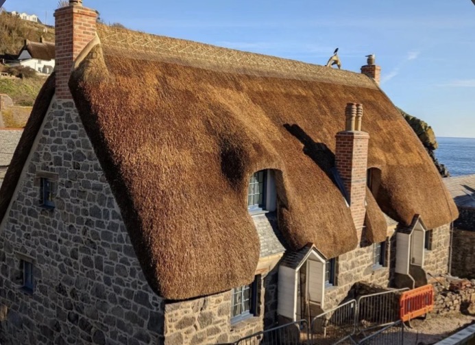 A thatched cottage with a scalloped water reed ridge above the sea